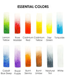 Watercolor paint swatches in various essential colors from the Essential-Themed Watercolor Coloring Club Box palette