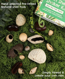 Natural shell pods arranged on moss next to the Create Your Own Rain Shell Shaker Kit packaging