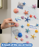 Hand placing colorful seashell magnet on fridge with starfish and sea creature magnets Magnet Painting Kit (DIY Refrigerator Magnet Kit)